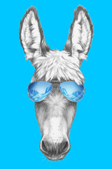 Portrait of Donkey with sunglasses. Hand drawn illustration.