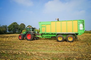 Trecker mit Erntewagen bei der Maisernte