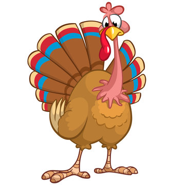 Cute cartoon Thanksgiving turkey. A vector illustration on white background
