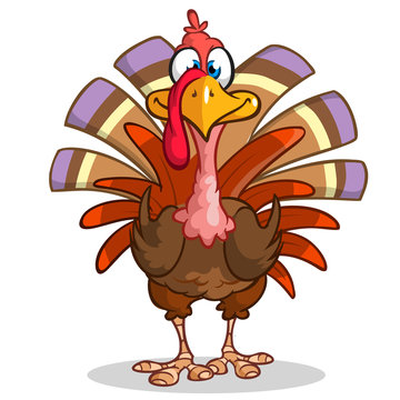 Thanksgiving happy turkey mascot isolated on white background. Vector illustration