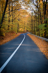 Road
