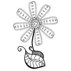 Sketch of abstract flower