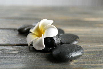White plumeria flower with pebbles on wooden background