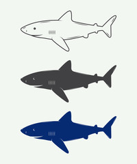 Set of vintage sharks for logos, emblems and badges. 