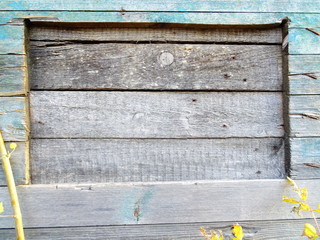 Green Wooden Boards Background