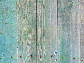 Fototapeta premium Green Wooden Boards Background