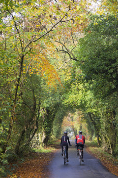 Male and female cyclist travel down a country lane in fall (autumn).
