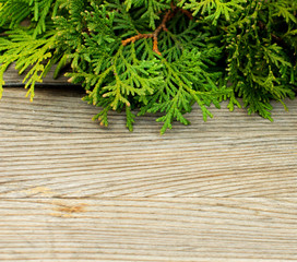 Vintage christmas background