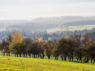 Obstb&auml;ume im Herbst