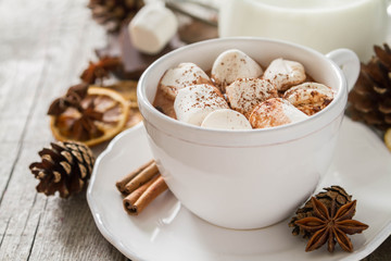 Hot chocolate with marshmallows 