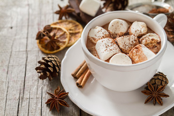 Hot chocolate with marshmallows 