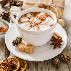 Hot chocolate with marshmallows 