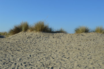 Fototapeta na wymiar Plage & dunes