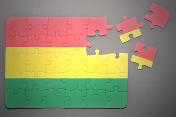 puzzle with the national flag of bolivia