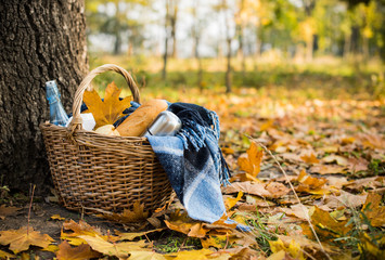 Autumn picnic in park