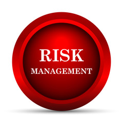 Risk management icon