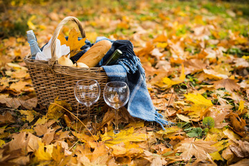 cozy autumn picnic