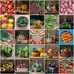 Collage from still lifes with vegetables. Vegetable background.