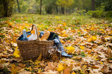 cozy autumn picnic