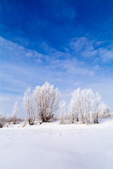 frozen lake with snow