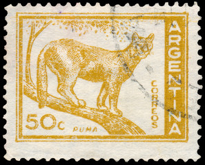 Naklejka premium Stamp printed in the Argentina shows Puma