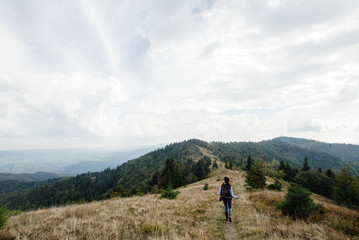 Obraz premium beautiful amazing landscape of sunny mountains, forest, sky and