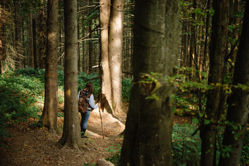 beautiful amazing landscape of sunny mountains, forest, sky and
