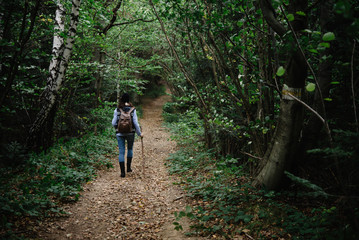 Obraz premium beautiful amazing landscape of sunny mountains, forest, sky and