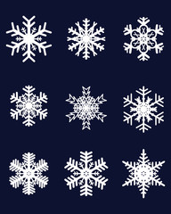 Fototapeta na wymiar Set of different white snowflakes, vector illustration