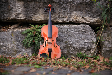 Geige Instrument Garten Park