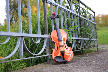 Geige Instrument Garten Park - obrazy, fototapety, plakaty