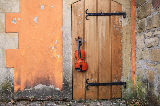 Geige Instrument Garten Park