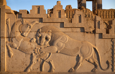 Bas Relief Carving of a Lion Hunting a Bull in Persepolis of Shiraz
