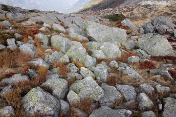 Rocks at Plan de L'Auguille station at altitude 2317 meters in Chamonix, France
