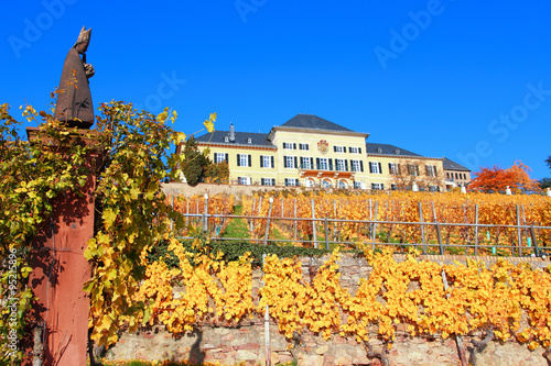 Beste Spielothek in Johannisberg im Rheingau finden Beste Spielothek in Johannisberg im Rheingau finden