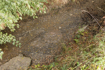 dry river bed with mud and mess at the bottom