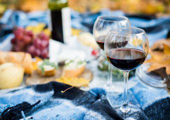cozy autumn picnic 