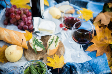 cozy autumn picnic 