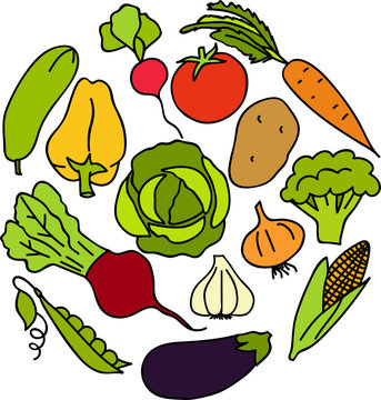 Set of fresh healthy vegetables, each one is isolated for easy use. Healthy lifestyle or diet vector design element.