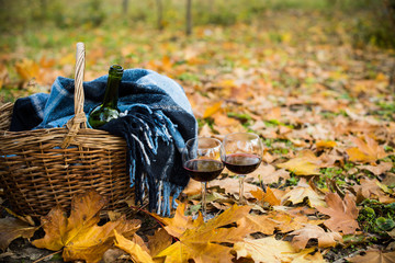 Basket with a blanket, wine and glasses
