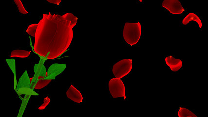 red neon rose with petals isolated on black