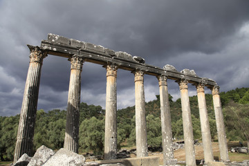 Temple of Zeus, ancient Greek settlement Euromos near Milas, Tur