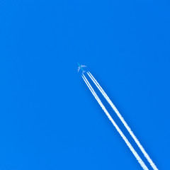 plane in the sky