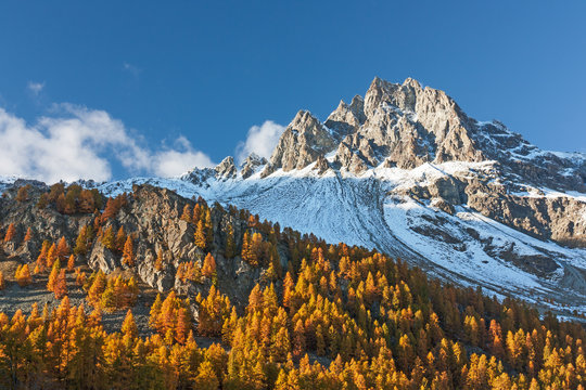 Piz Lagrev mit L&auml;rchen in Herbstf&auml;rbung im Abendlicht im Engadin, Graub&uuml;nden, Schweiz. Von Plaun da lej am Silsersee aus gesehen.
