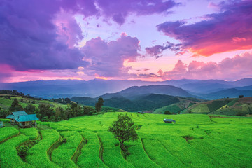 Rice field on the mountain with background lighting in the evening. 