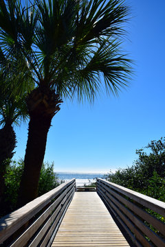 Hilton Head Beach Boardwalk