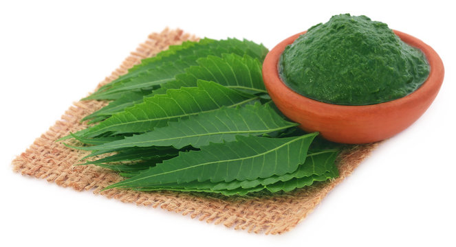 Medicinal neem leaves with ground paste