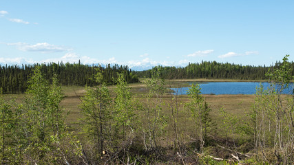 Alaskan Landscape
