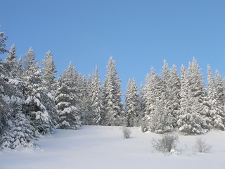 Зимняя сказка.