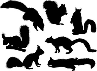seven squirrels silhouettes isolated on white